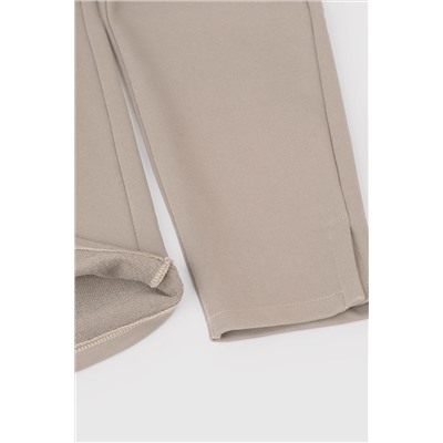 VERY NEAT Брюки ЕВТ 4045/24