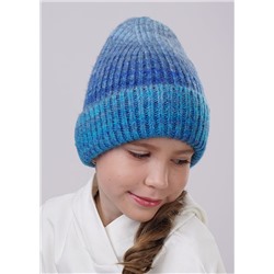 217190 CLEVER Шапка