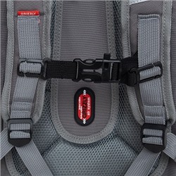 RAf-493-2 Рюкзак школьный