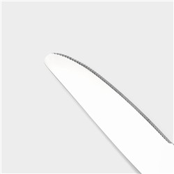 Набор ножей столовых Magistro «Виконт», длина 24 см, набор 6 шт., нержавеющая сталь, серебристый