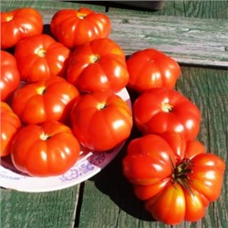 Помидоры — Pomme D’amour — Любовное Яблоко (10 семян)