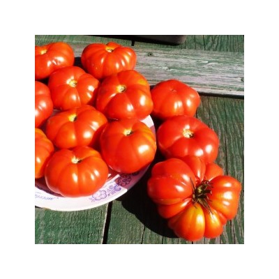 Помидоры — Pomme D’amour — Любовное Яблоко (10 семян)