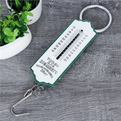 Весы безмен 20 кг / V-2-20 /уп 240/