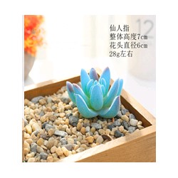 Суккулент искусственный 5х7 см / GN144 /уп 100/
