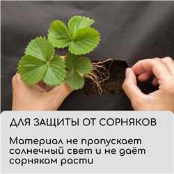 Материал для ландшафтных работ, 20×0.8 м, плотность 120 г/м², спанбонд с УФ-стабилизатором, чёрный, Greengo, Эконом 30%