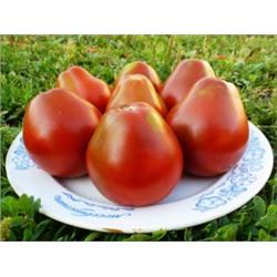 Помидоры Black Pear — Чёрная Груша (10 семян)