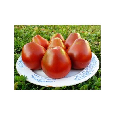 Помидоры Black Pear — Чёрная Груша (10 семян)
