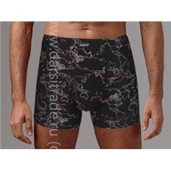 Трусы мужские GS1001 Gentlemen шорты