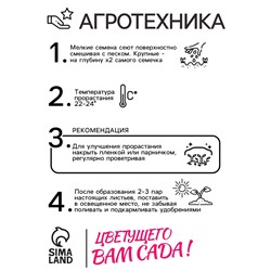 Семена комнатных цветов Пеларгония "Палитра красок", 4 шт.