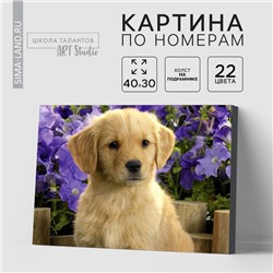 УЦЕНКА Картина по номерам на холсте с подрамником «Щенок лабрадора», 40×30 см