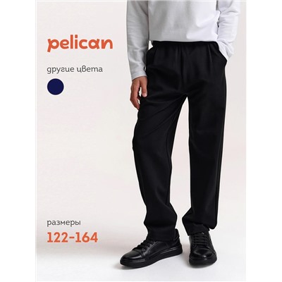 PELICAN Брюки BFPQ7045
