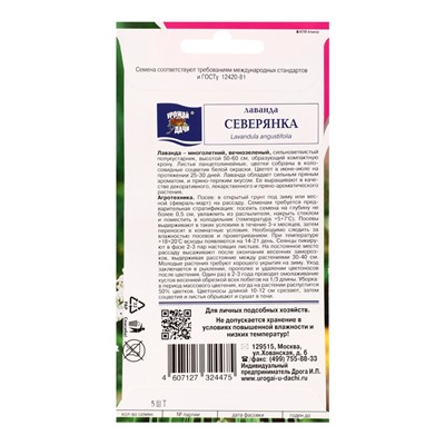 Семена цветов Лаванда СЕВЕРЯНКА  5 шт.