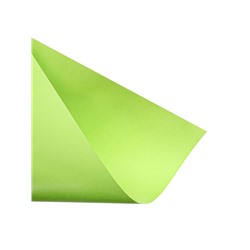 Бумага цветная Calligrata, А4, 50 листов, 5 цветов, неоновая, 80 г/м²