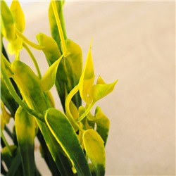 Набор растений искусственных для аквариума (2 шт.), 24 см