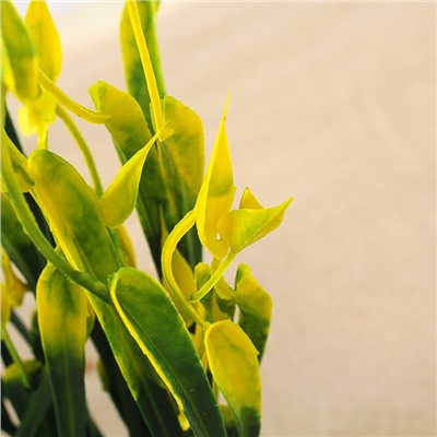 Набор растений искусственных для аквариума (2 шт.), 24 см