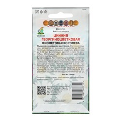 Семена цветов Цинния георгиноцветковая «Фиолетовая королева» 0.4 г, «Поиск»