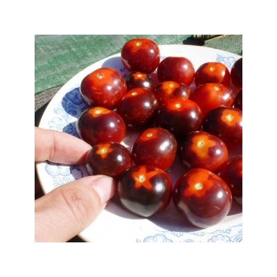 Помидоры — Blue Berry Cherry — Черри Черника (10 семян)