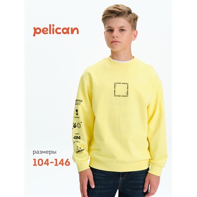 PELICAN Толстовка