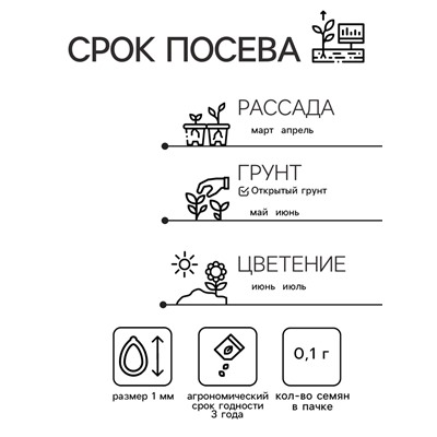 Семена Гвоздика бородатая "Жоржетта", ц/п,  махровая, смесь, ХИТ х3, 0,1 г
