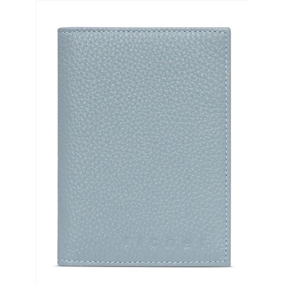 Обложка, автодокументы Richet Ri-151O 349 Голубой