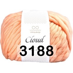 Пряжа Infinity Cloud