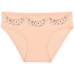 5830 Трусы девочка многоцвет (BAYKAR)