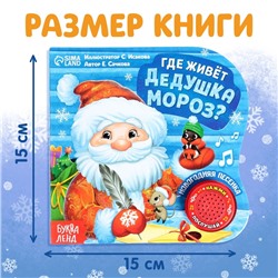 Книга музыкальная «Дом Дедушки Мороза», 10 стр.