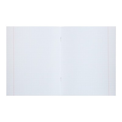 Комплект тетрадей из 5 штук, 48 листов в клетку Calligrata "Надпись-1", обложка мелованный картон, блок офсет