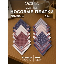 Платки носовые мужские «Этель», размер 30×30 см, набор 12 шт., принт МИКС, 100% хлопок