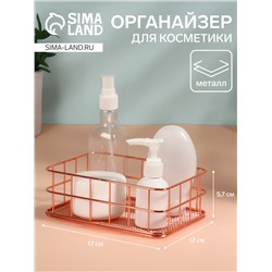 Органайзер для хранения косметических принадлежностей «РАФАЭЛЬ», 17 × 12 × 5,7 см, цвет бронзовый