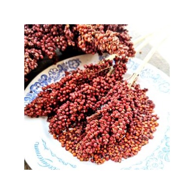 Ба-Е-Цы Северное Зерновое Сорго — Ba-Ye-Qi Sorghum (30 семян)