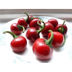 Перец Черри Сладкий — Sweet Cherry Peppers (10 семян)
