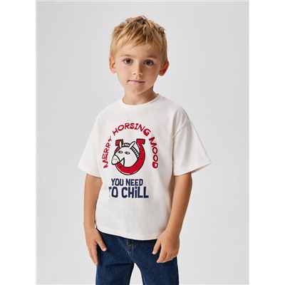 Acoola Футболка 20120510281