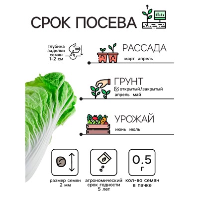 Семена Капуста пекинская "Бокал", 0,5 г