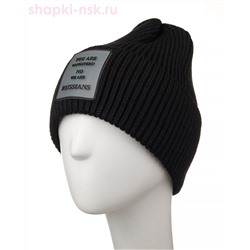 87 F R Колпак (56-58)