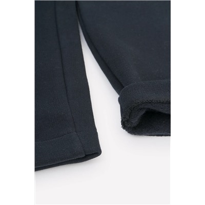 VERY NEAT Брюки ЕВТ 4043/24