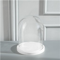 Стеклянный купол - клош на деревянной подставке «Венсан», 20×15 см, МИКС