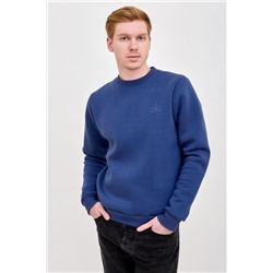 Толстовка мужская Бронд 2 Арт. 9089