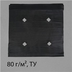 Материал мульчирующий, с перфорацией, 10×1.6 м, плотность 80 г/м², спанбонд с УФ-стабилизатором, чёрный, Greengo, Эконом 30%
