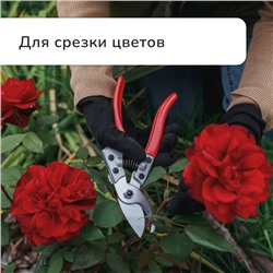 Секатор плоскостной, 8" (20 см), обрезиненные ручки, Greengo
