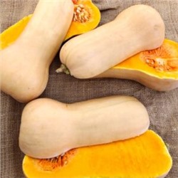 Уолтемская Тыква Баттернат — Waltham Butternut Squash (5 семян)