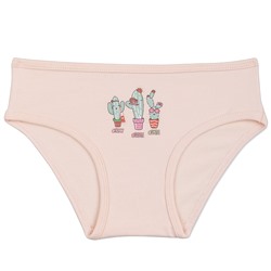 5324 Трусы для девочек многоцвет (BAYKAR)