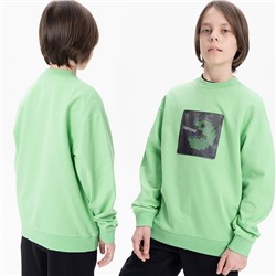 BFN3369 толстовка для мальчиков (1 шт в кор.)