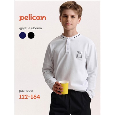 PELICAN Джемпер