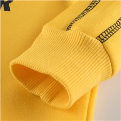 TSKIDS Толстовка утепленная  2208