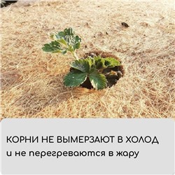 Мульча кокосовая в рулоне, 3×0.5 м, Greengo