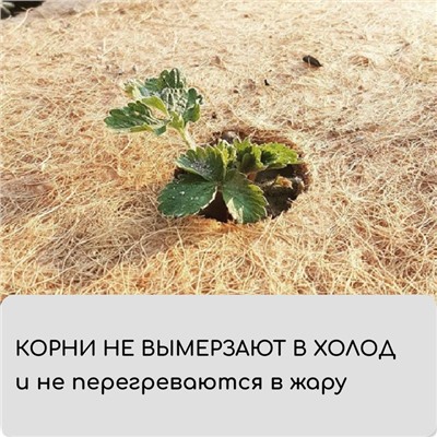 Кокосовое полотно для мульчирования, 3×0.5 м, «Мульчаграм»