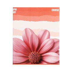 Тетрадь 96 листов в клетку, Calligrata Apricot Crush, МИКС