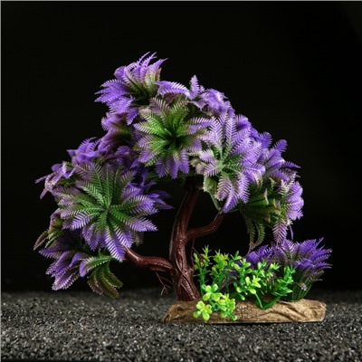 Растение для аквариума и террариума, 11×21 см