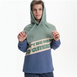 BFNK3370 толстовка для мальчиков (1 шт в кор.)